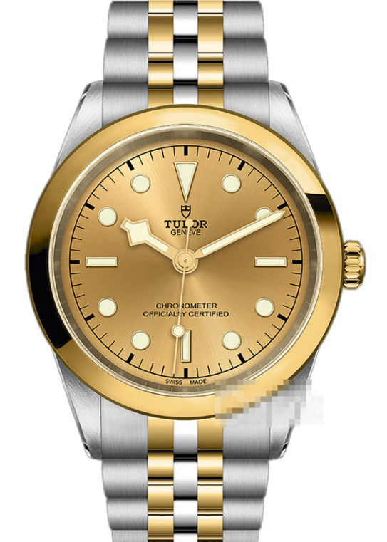 TUDOR ブラックベイ M79683-0005コピー時計、レガシーと革新の交差点、本物の実力派の証明